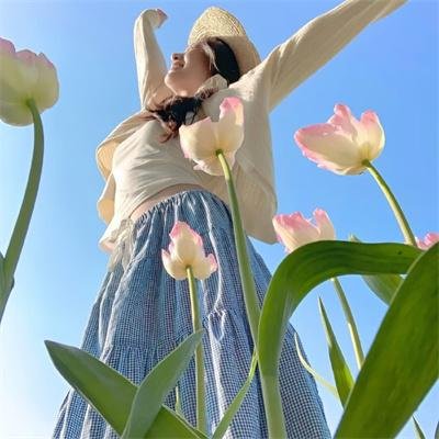 卧虎藏龙：青冥宝剑